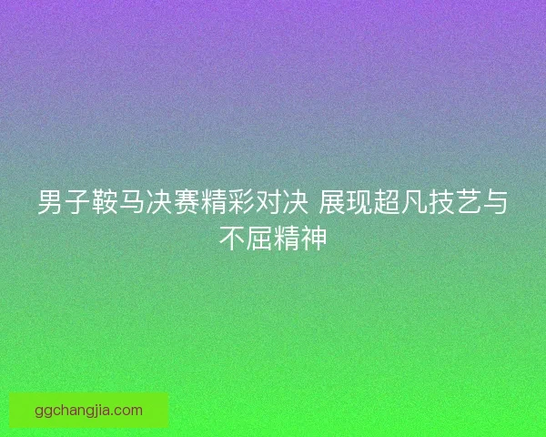 男子鞍马决赛精彩对决 展现超凡技艺与不屈精神