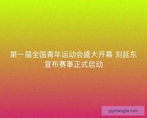 第一届全国青年运动会盛大开幕 刘延东宣布赛事正式启动